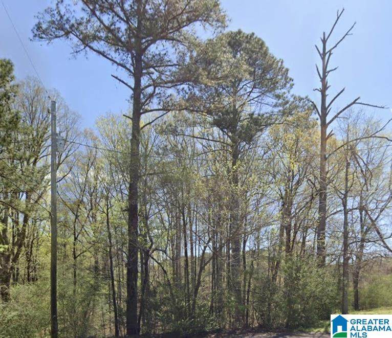 5431 Overbrook Circle - Photo 1