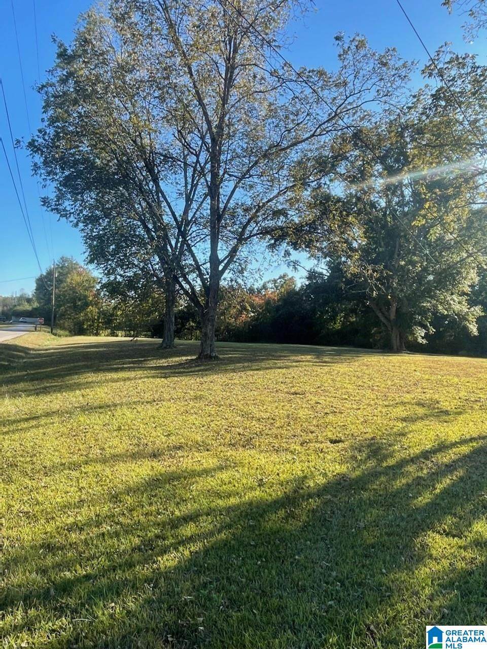 0 Edgewood Street - Photo 1