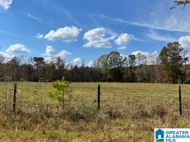 0 Poplar Springs Trail - Photo 1