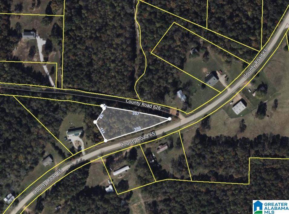 0 County Road 65 - Photo 1