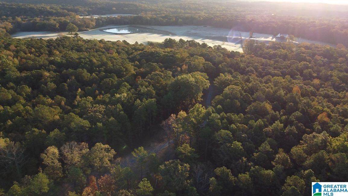 County Road 467 - Photo 1