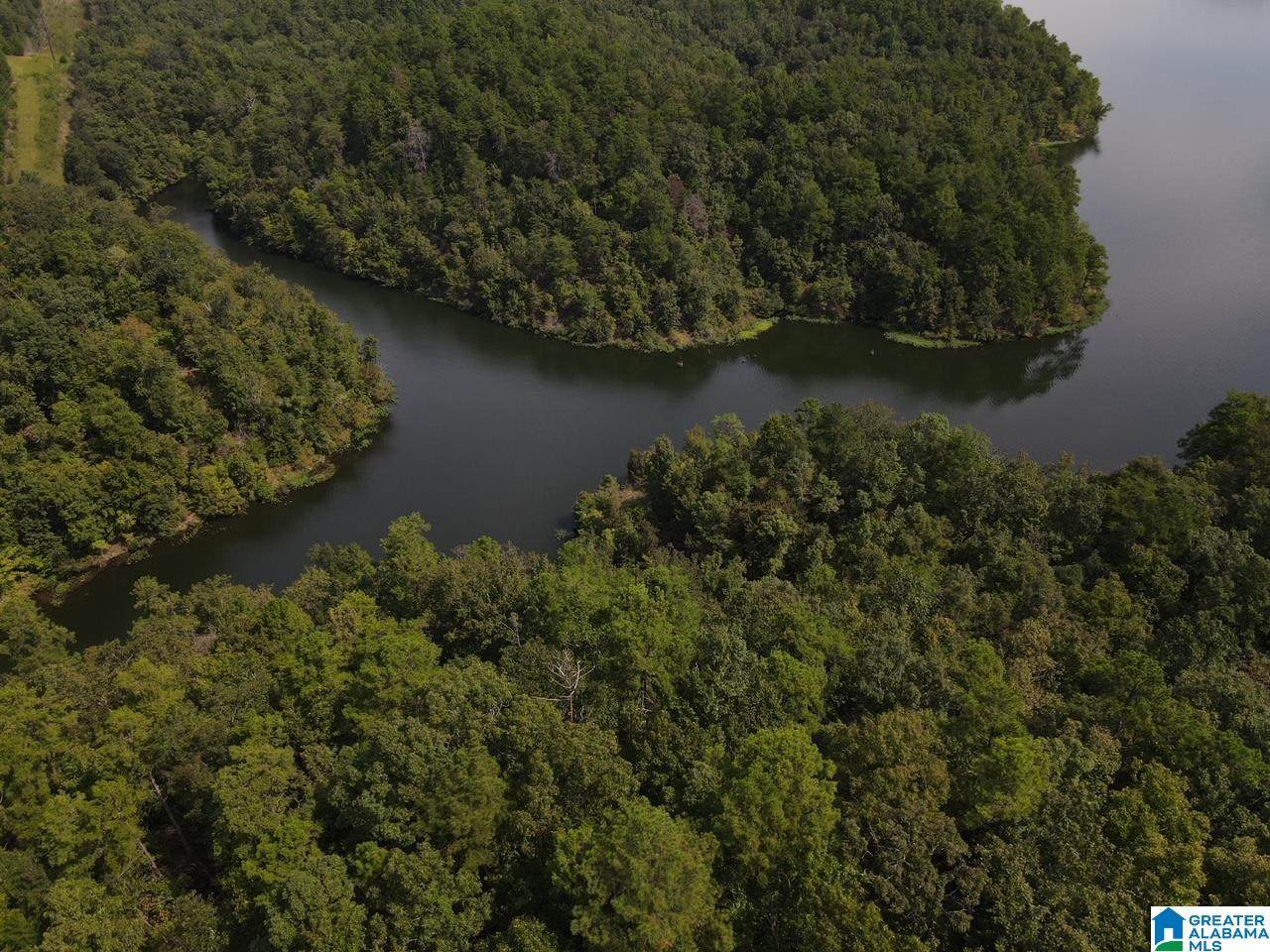 0 County Road 199 - Photo 1