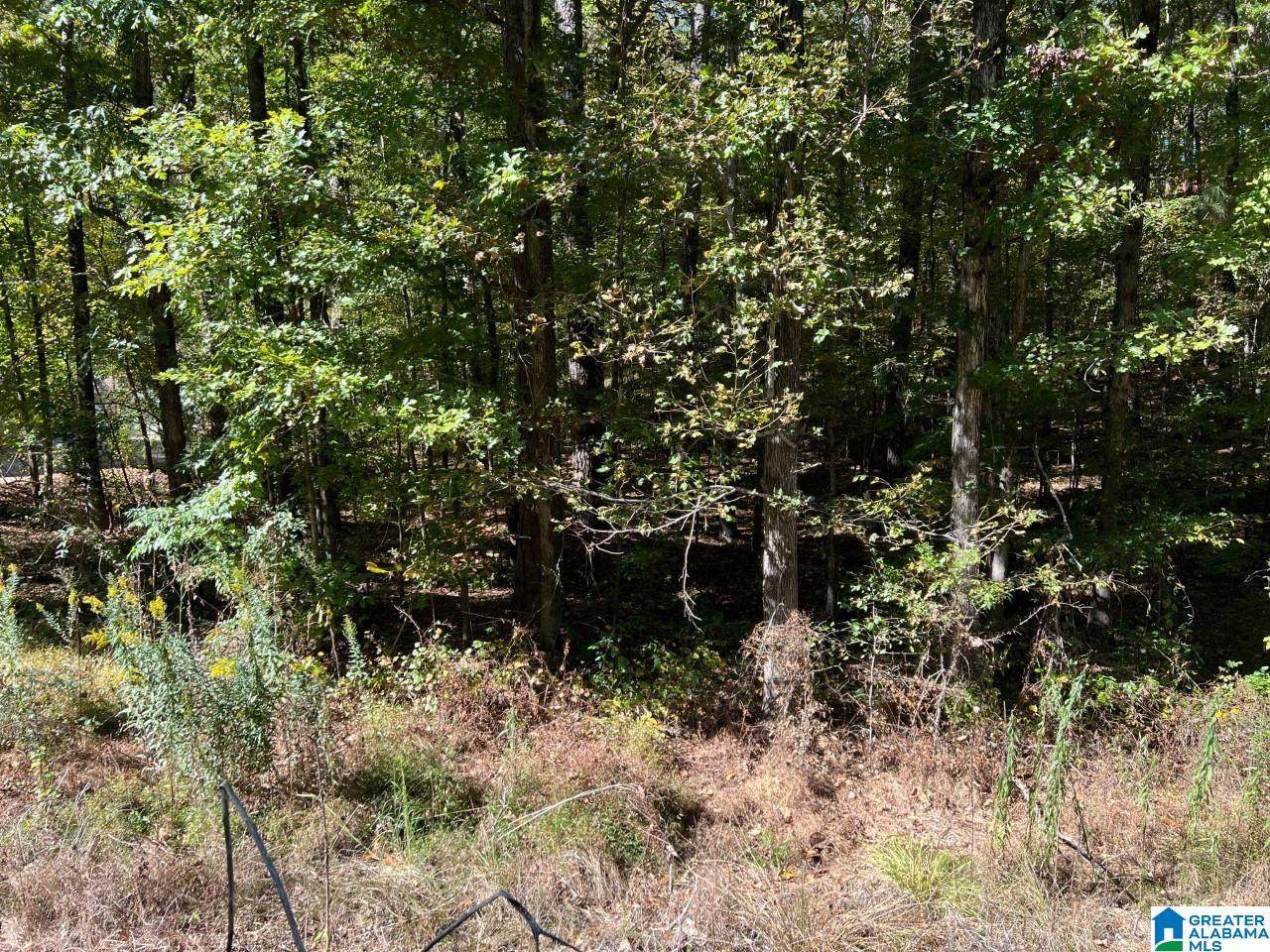 Sylvia Drive - Photo 1