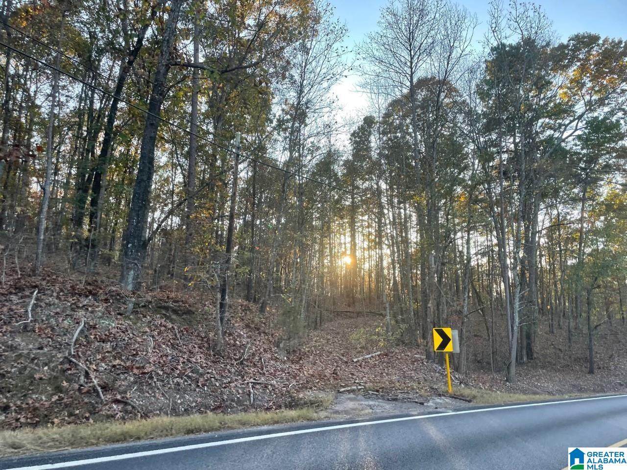 Highway 48 - Photo 1