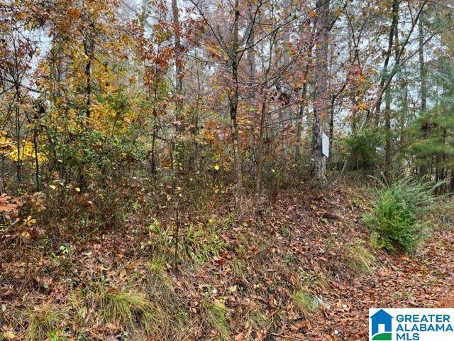 3146 Center Street - Photo 1