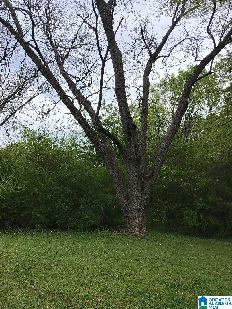 1189 Alliance Road - Photo 1