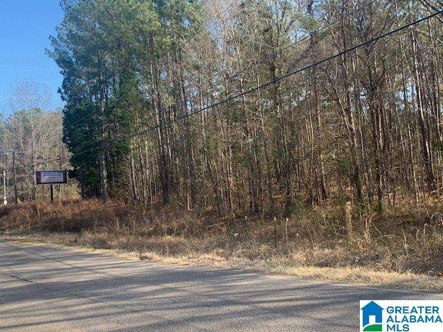 0 Eastern Valley Road - Photo 1