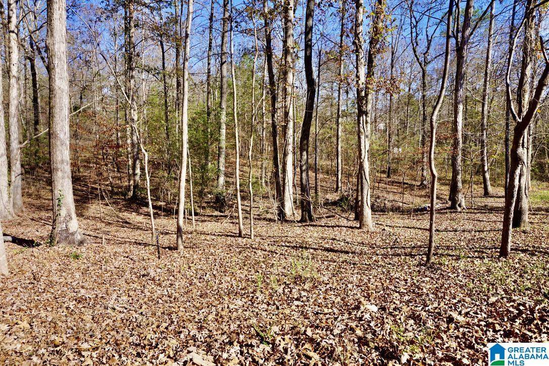 00 County Road 231 - Photo 1