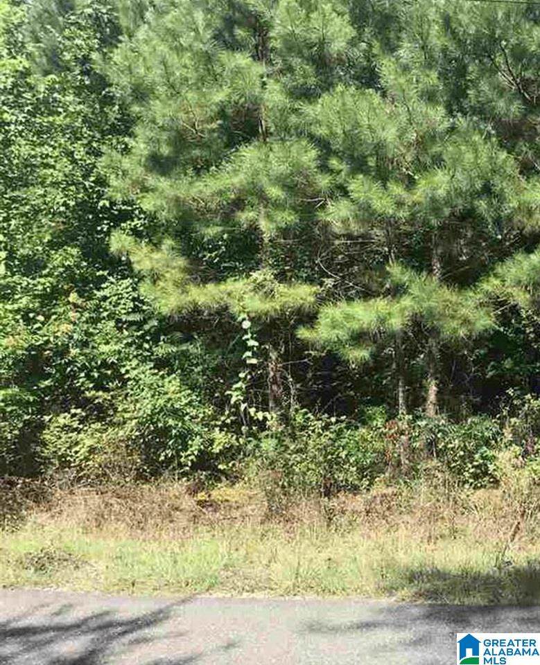 Mill Creek Road - Photo 1