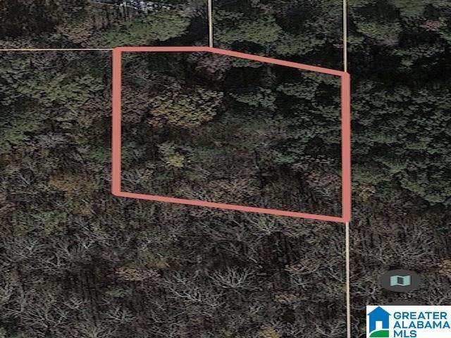 273 Odena Heights Circle - Photo 1