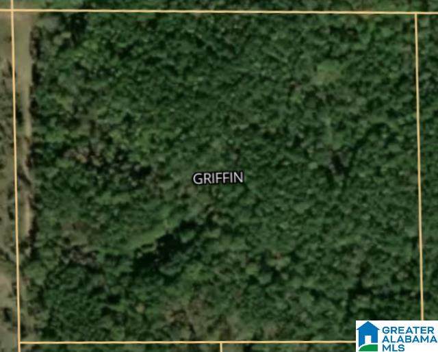 0 Griffin Road - Photo 1