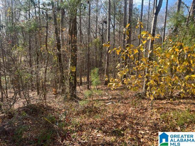 315 Quail Ridge Road - Photo 1