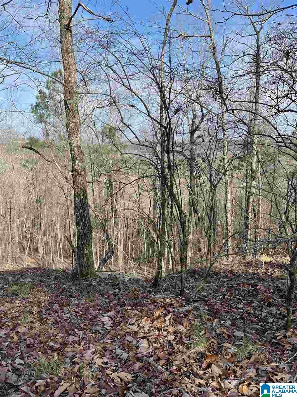 5830-2 Shades Crest Road - Photo 1