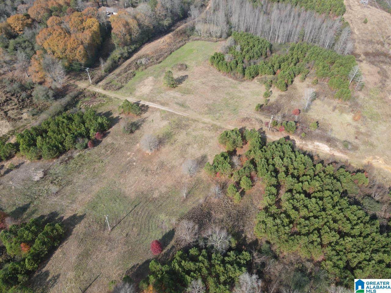 60 County Road 713 - Photo 1
