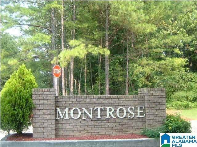 513 Montrose Circle - Photo 1