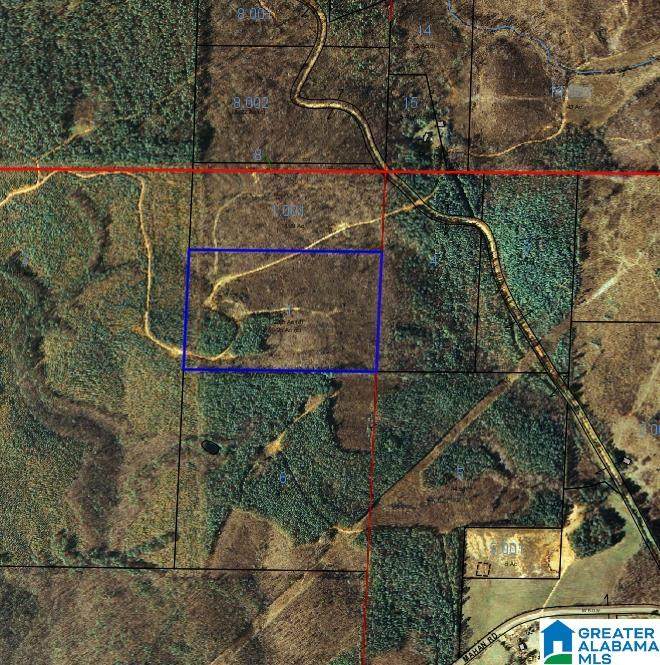 0 County Road 249 - Photo 1