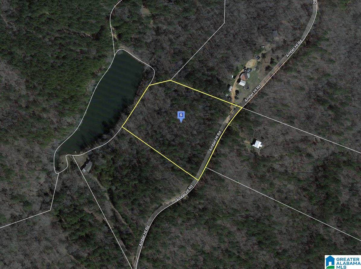 000 Amber Hills Road - Photo 1