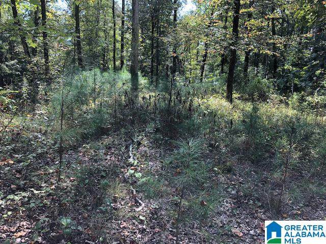 334 Warrior River Highlands Road - Photo 1