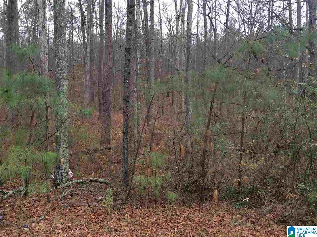 3004 Virginia Drive - Photo 1