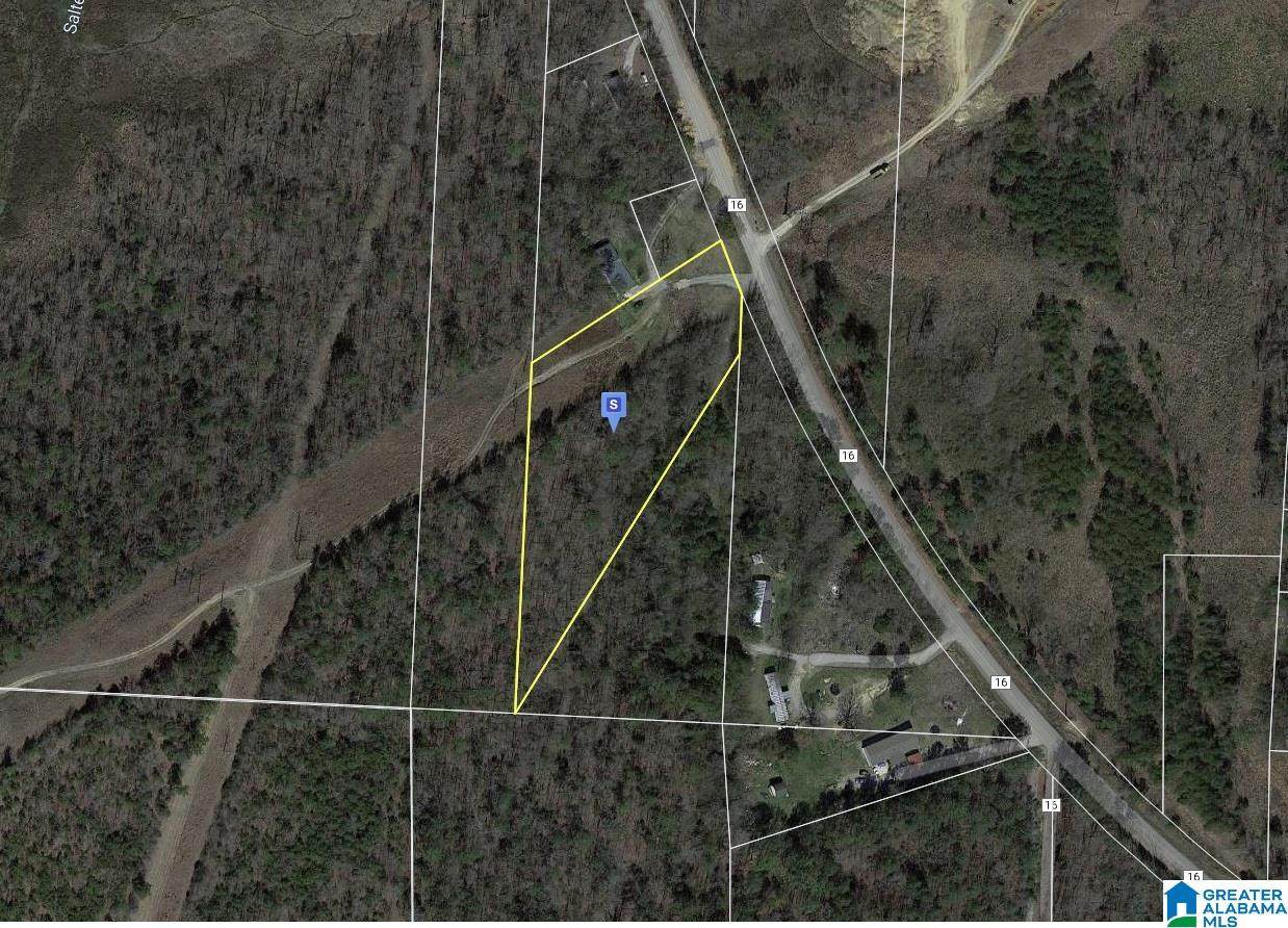 3101 Highway 16 - Photo 1