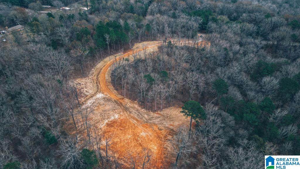 12340 Mount Olive Road - Photo 1