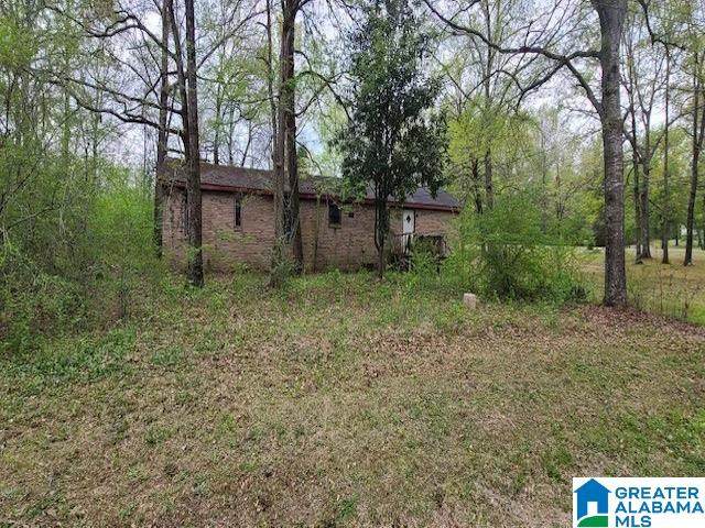 0 Pine Grove Road - Photo 1