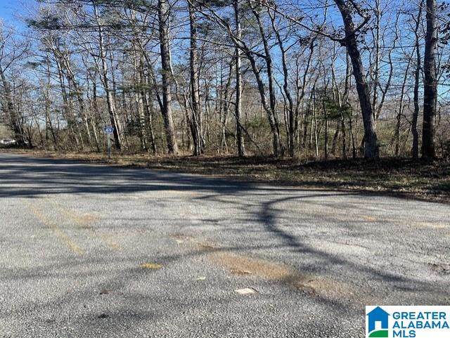 0 County Road 89 - Photo 1