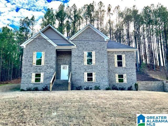 3845 Sportsman Lake Road - Photo 1