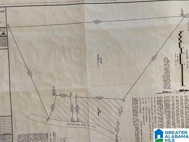 1655 Dripping Rock Road - Photo 1