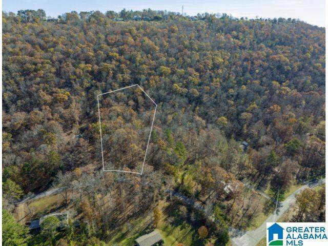 0 Valley Lane - Photo 1