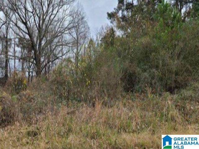 4113 Harden Street - Photo 1