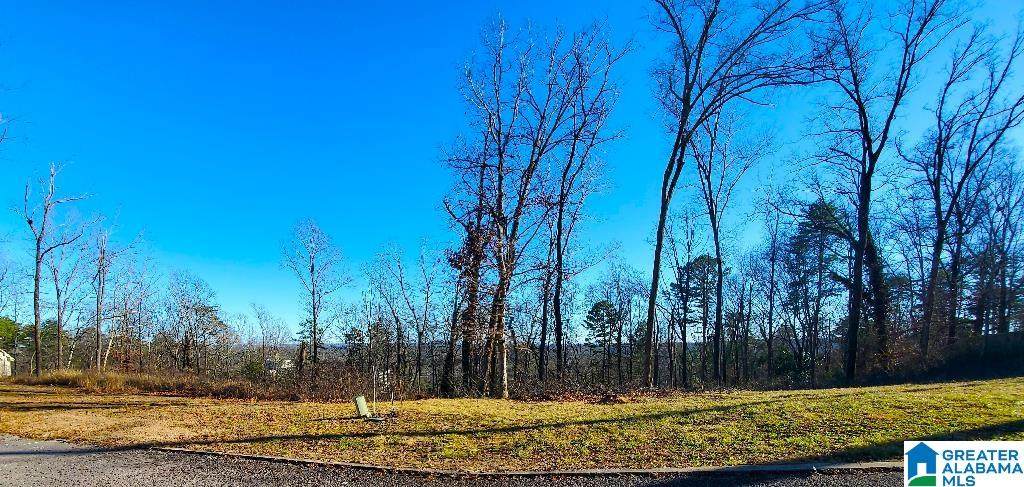 5009 Altamont Road - Photo 1