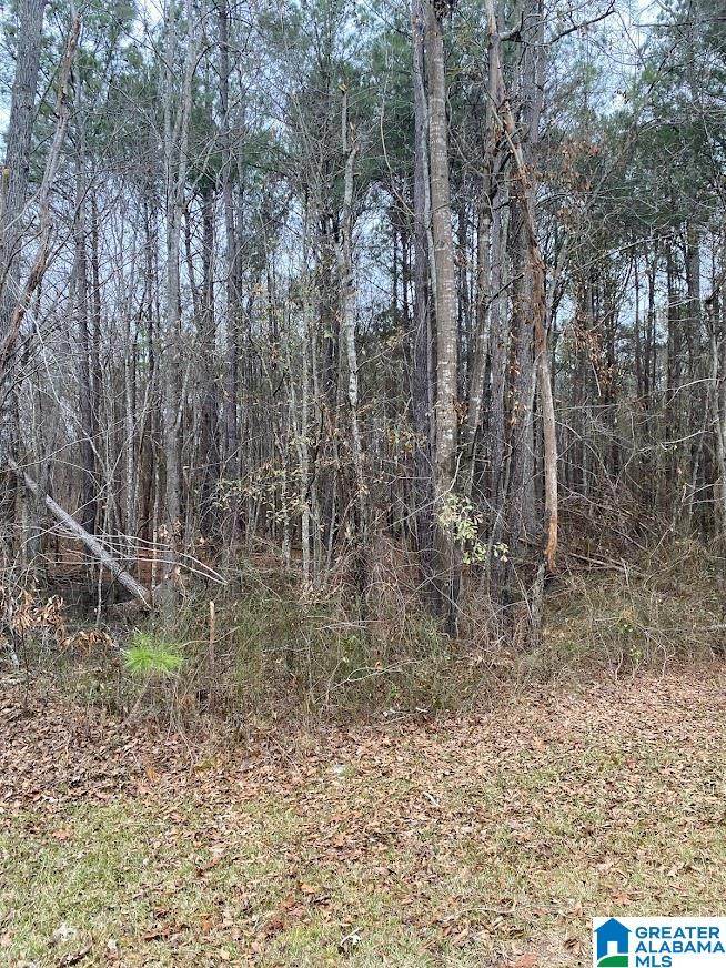 0 Rivercrest Drive - Photo 1
