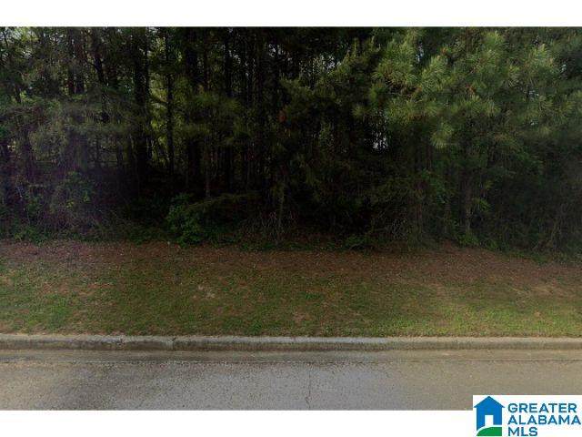 5620 Alexandria Drive - Photo 1