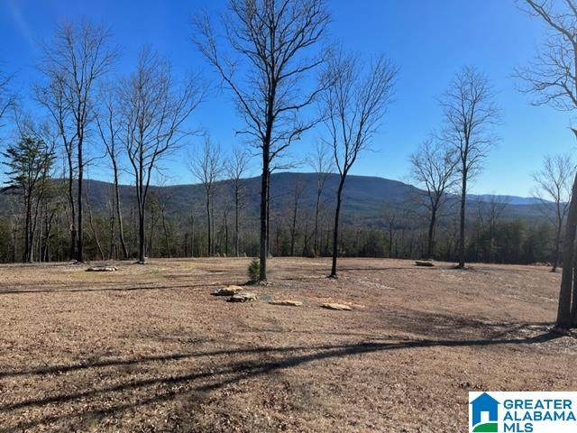 2575 Kentuck Road - Photo 1