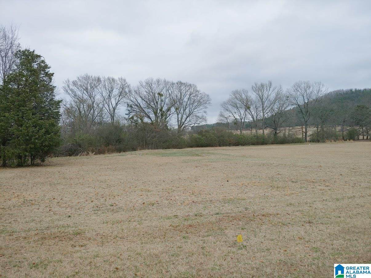 0 Lake Charles Drive - Photo 1