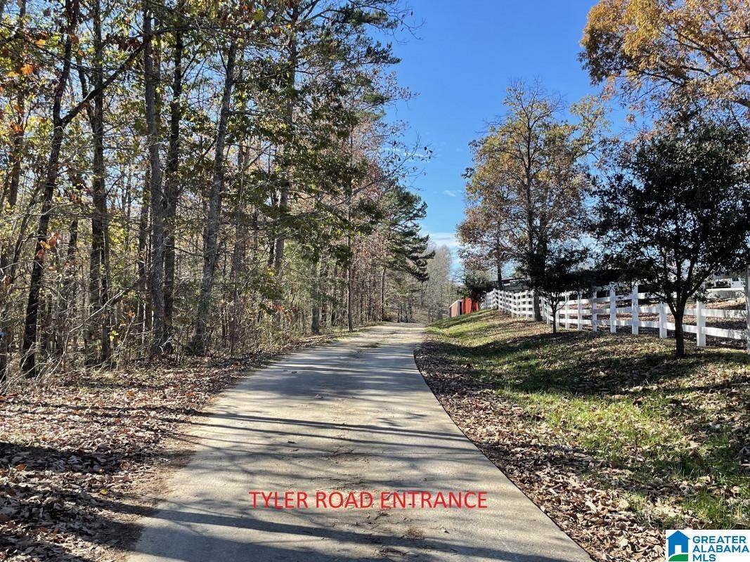 650 Emerald Crest Drive - Photo 1