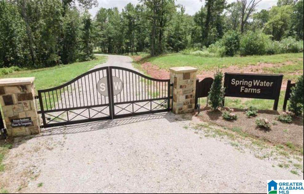 246 Spring Water Farms - Photo 1