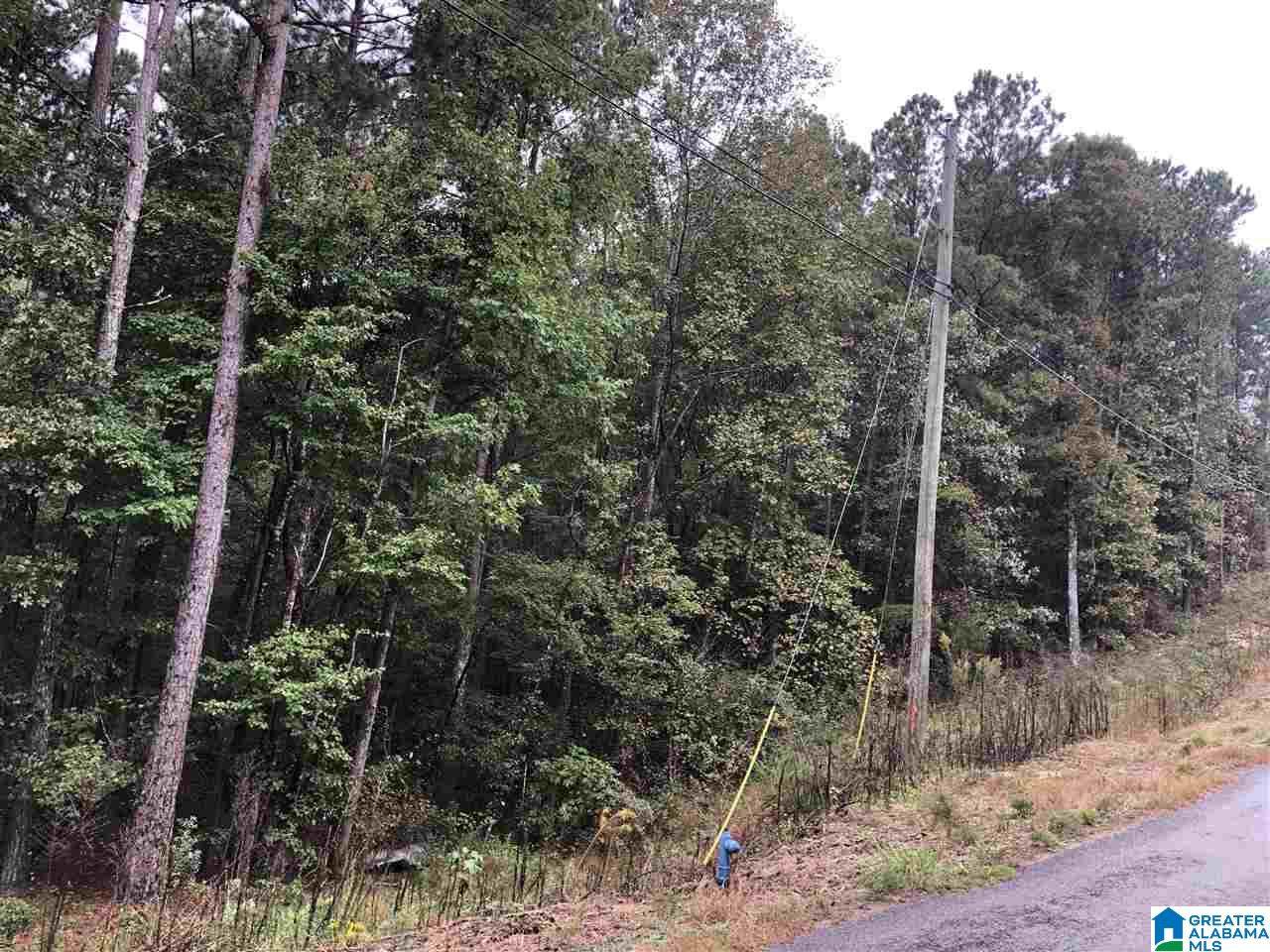 13 Hickory Lane - Photo 1