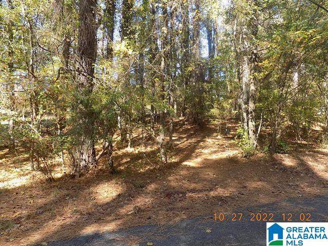 000 Butter & Egg Road - Photo 1