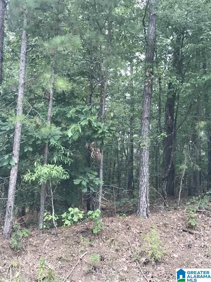 0 Highway 191 - Photo 1