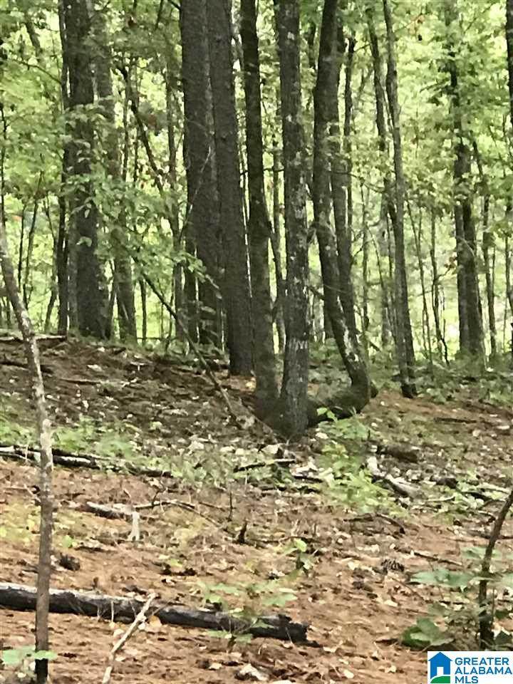  Zodiac Drive - Photo 1