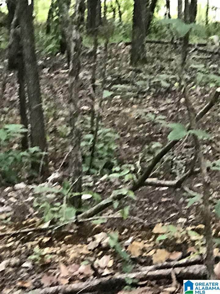  Bay Pointe Drive - Photo 1