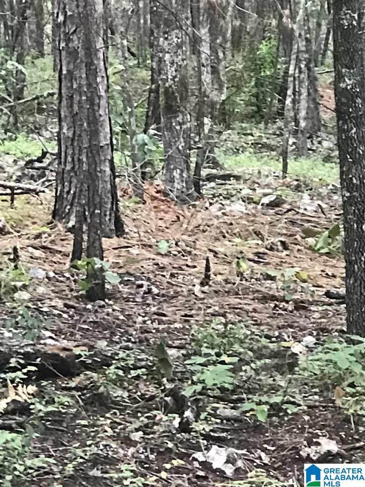  Bay Pointe Drive - Photo 1