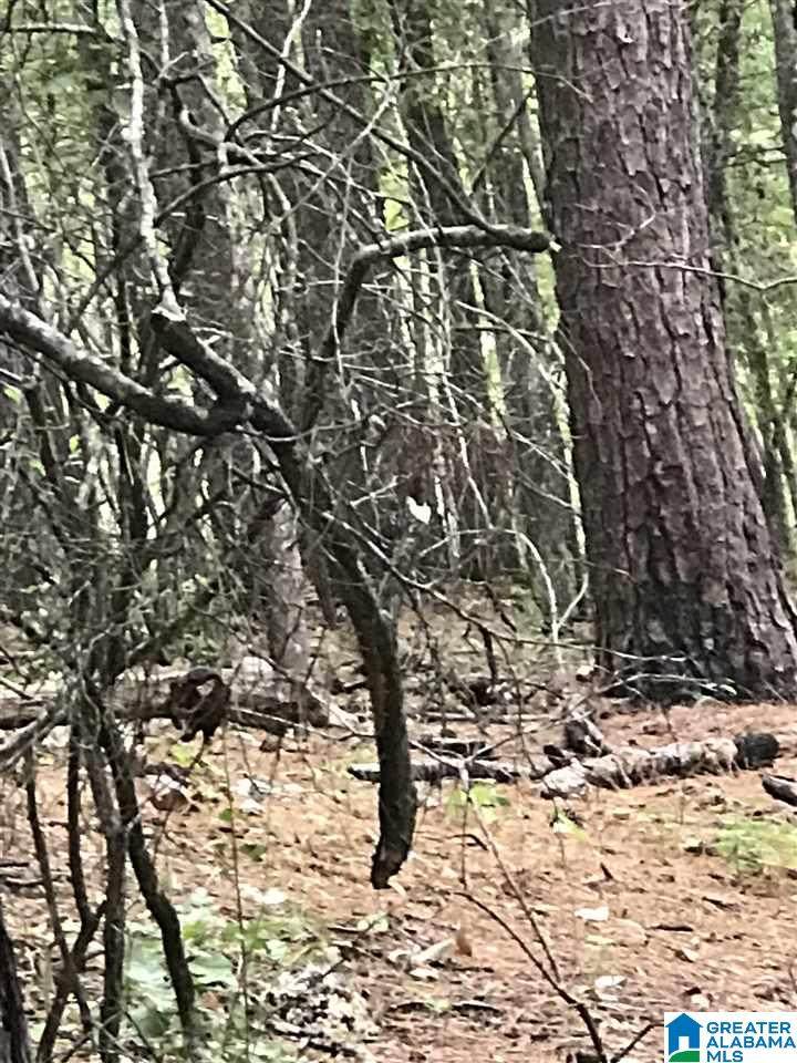  Constellation Drive - Photo 1