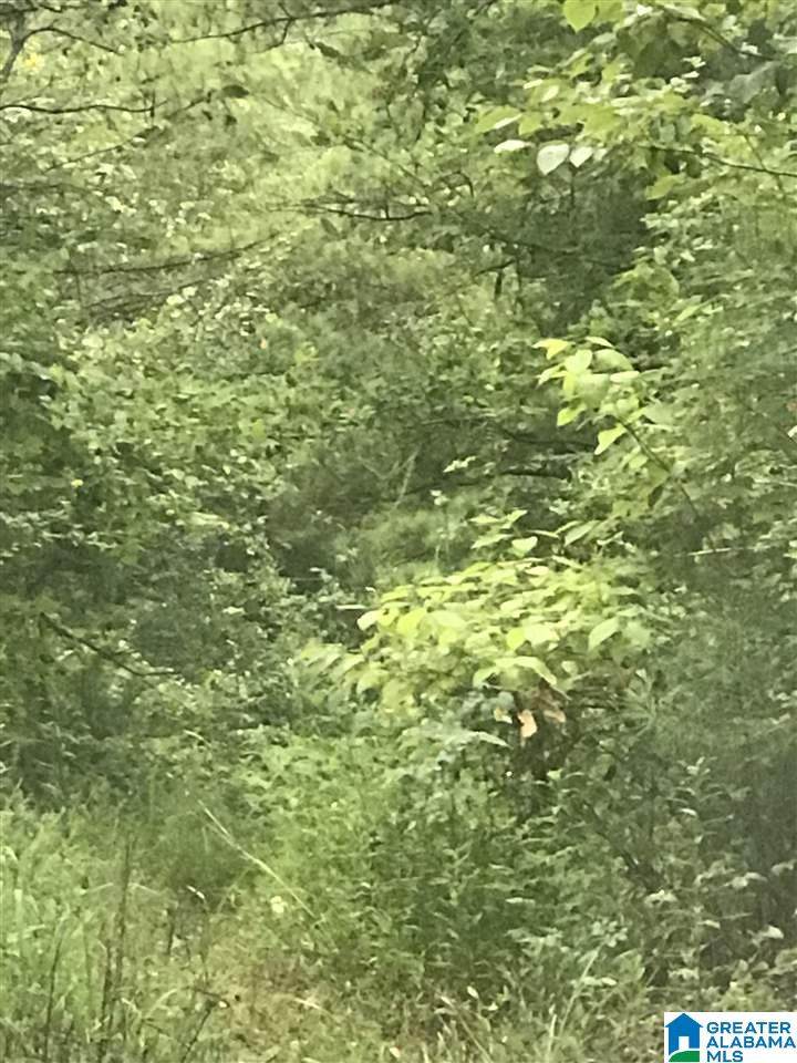  Unnamed Road - Photo 1