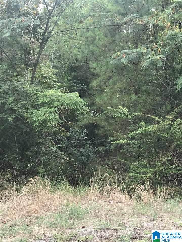  Constellation Avenue - Photo 1