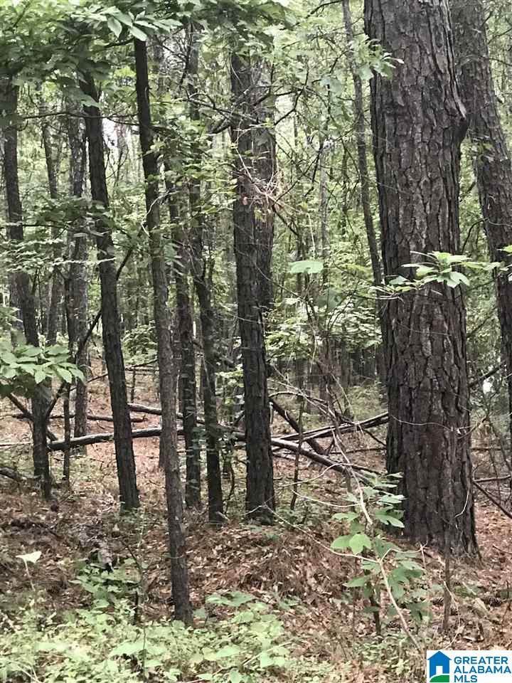  Lakeside Lane - Photo 1