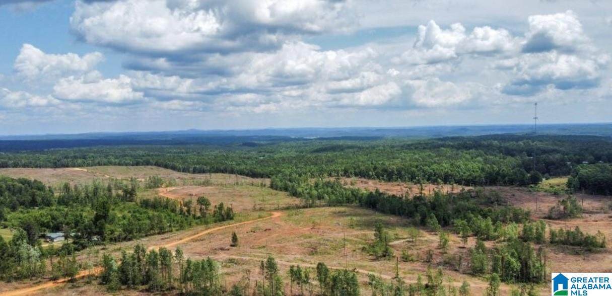 0 County Road 489 - Photo 1