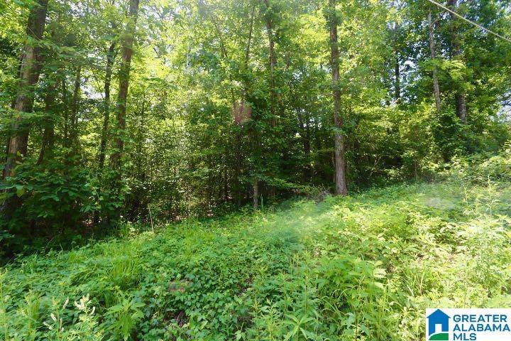 6417 Le Jeune Drive - Photo 1